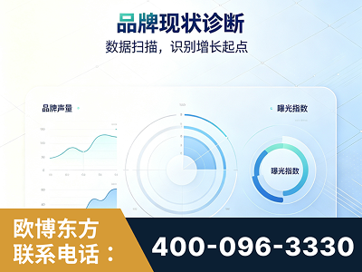 日喀则-品牌现状诊断